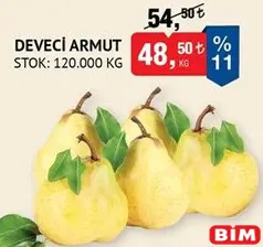 DEVECİ ARMUT KG DEVECİ ARMUT KG